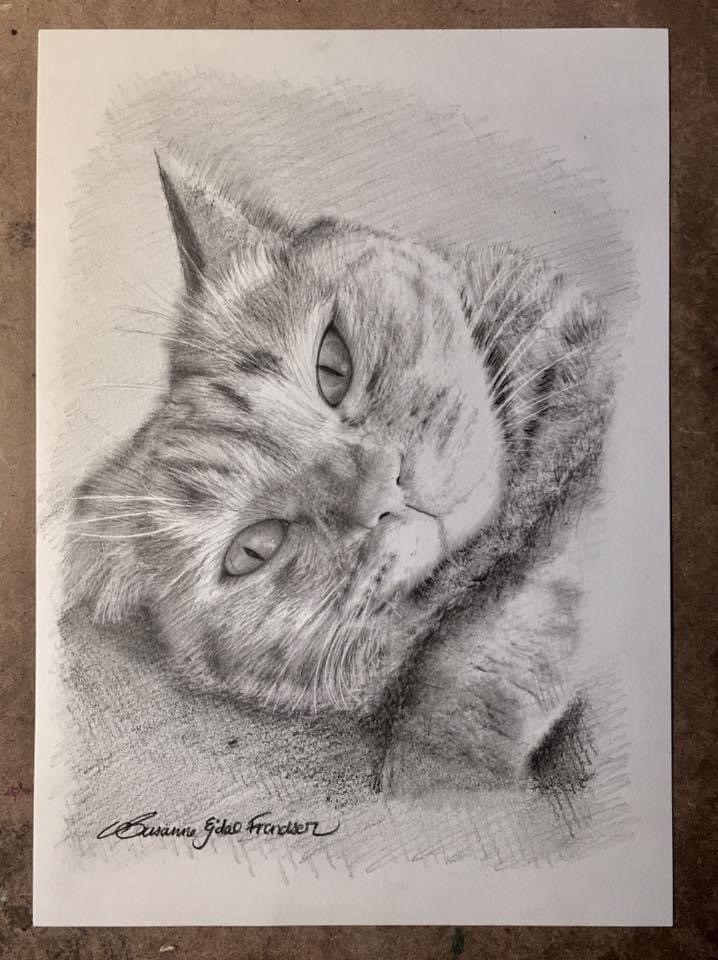 Portræt af Kat